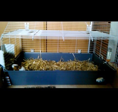 Mon petit looping