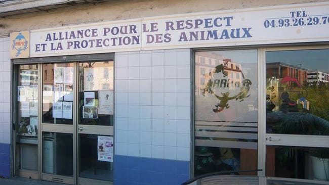Aidez-nous à gagner 100kg de croquettes !
