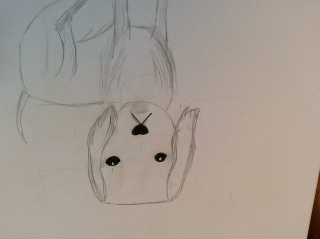 Concours dessine le plus beau chien !