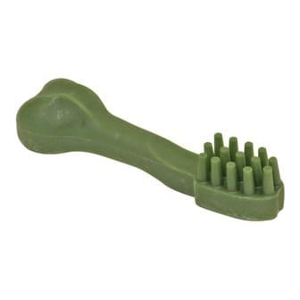 brosse à dents à mastiquer.