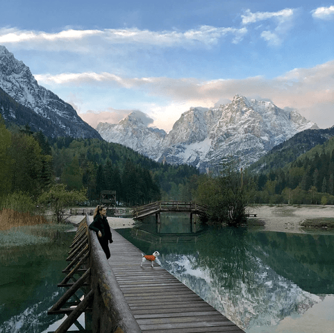Road-trip en Slovénie avec son chien