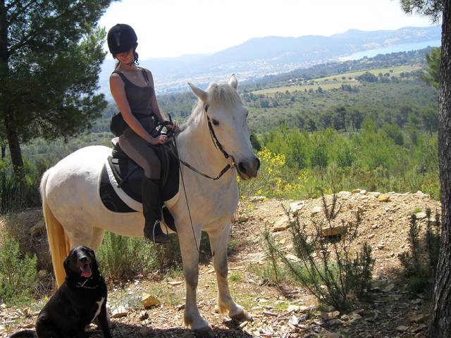 Habituer son chien aux chevaux