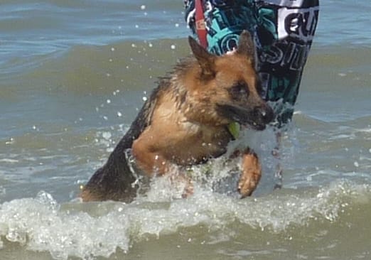 Journée à la plage