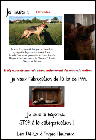 Loi 1999, le combat des passionnés.