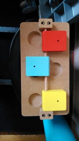 Jeux d'intelligence. 