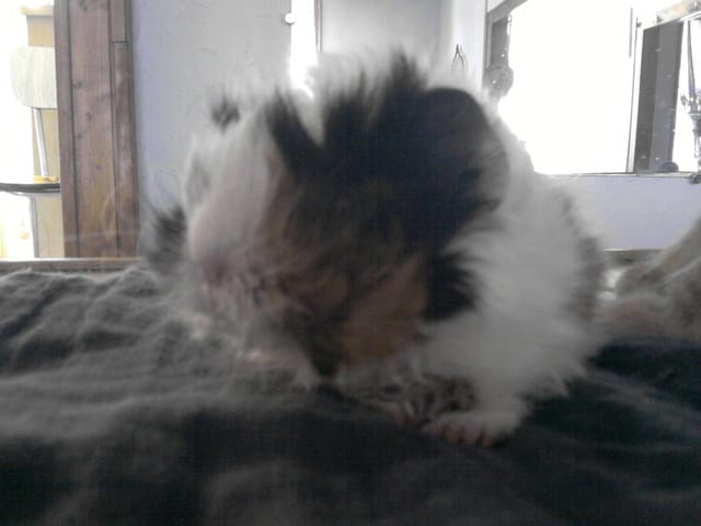 Ma tite princesse ♥