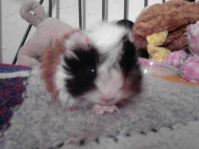 Kirra ♥