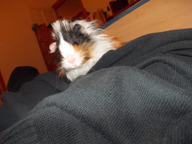 Kirra :'(