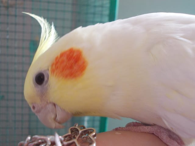 Lili ...  :(