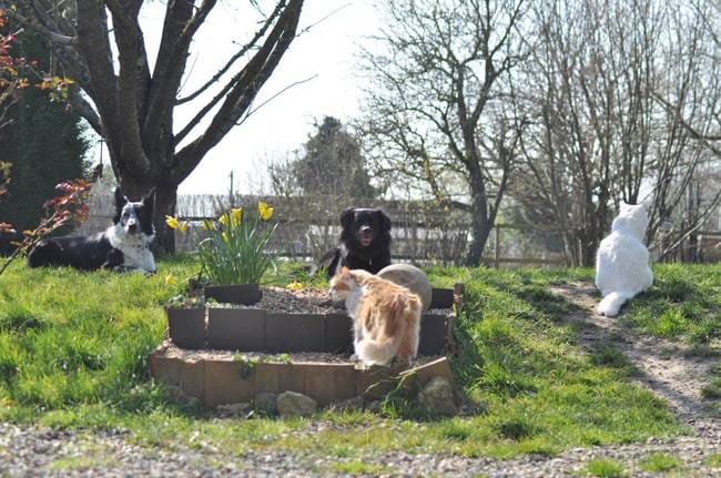 Futur déménagement, enceinte et pourtant...