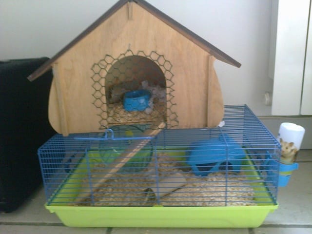 Ma cage est-elle trop petite?