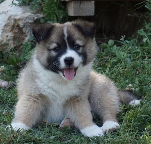 prendre ou ne pas prendre