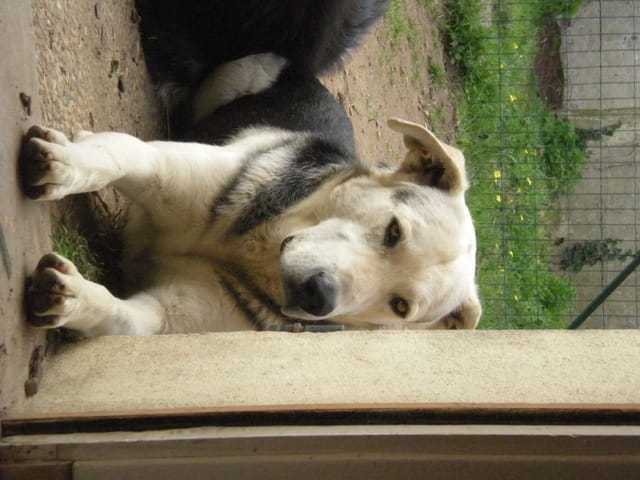 cherche de garde partage