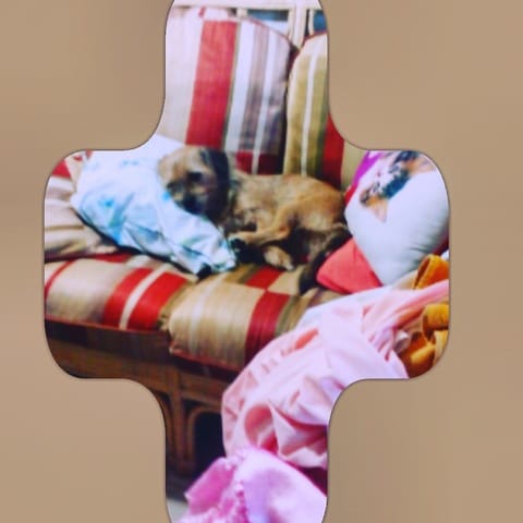 vomis jaune ,perte d'apetit et faiblesse