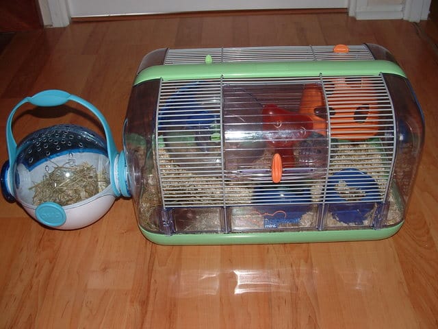 urgent donne 2 souris,cage,aliment