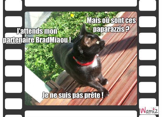 A propos des tooniz(s?)...