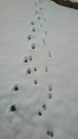 Enfin mes deux fifilles dans la neige ^^ 
