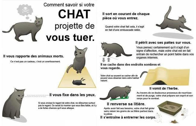 Post pour rigoler ! :)