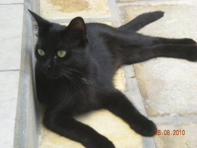 Bombay - Europeen noir