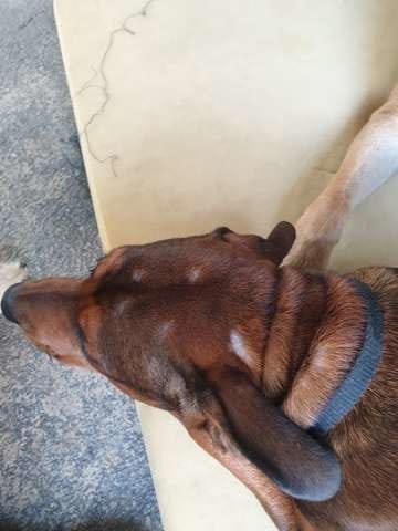 quels sont ces taches blanches