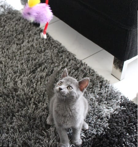 Nouvel arrivant !