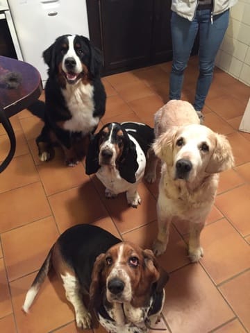 Le pouvoir du saucisson (photo)