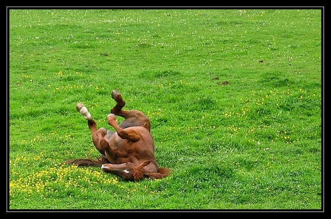 Inventez vos expressions