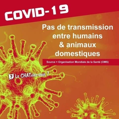 Coronavirus non transmissible