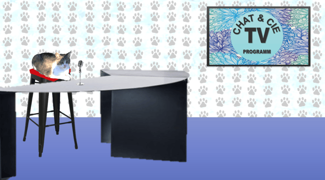 Chat & Cie ; TV programm