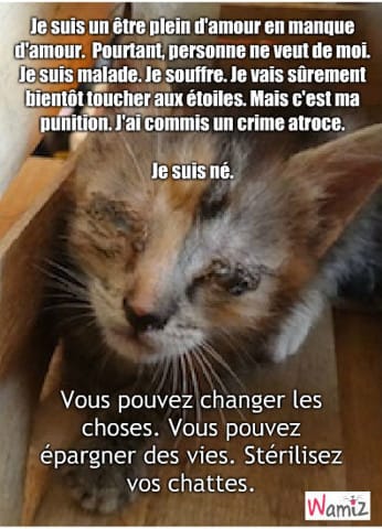 Vos tooniz pour la cause animale