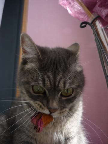 Vos plus belles photos