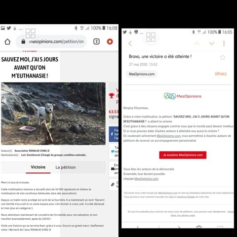 A propos d'un chien....