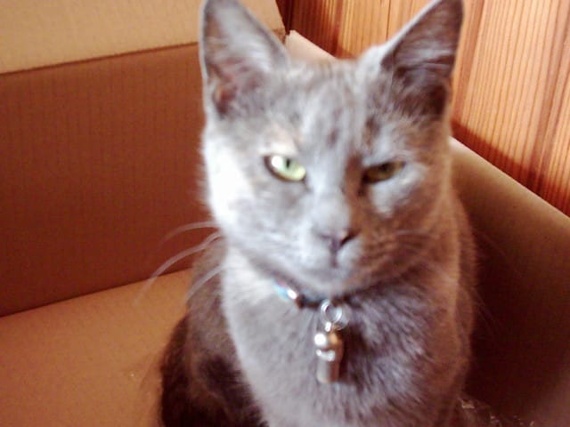mon bebe d amour