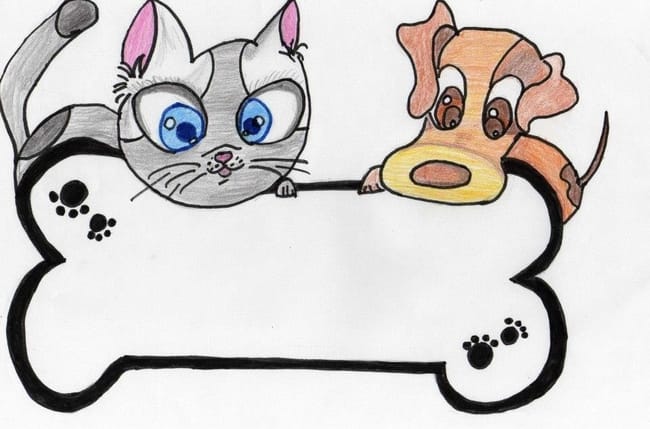 GRANDE COLLECTE  DE CROQUETTES  ETC POUR LES ANIMAUX DES REFUGES 