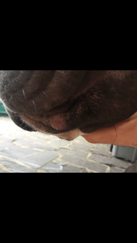 Aidez moi s'il vous plait