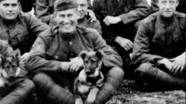 Estimer l'âge de Rintintin "Premier" sur une photo de la fin de la Grande Guerre 14-18