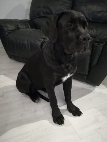 je m'inquiète j'ai un poids lourd !