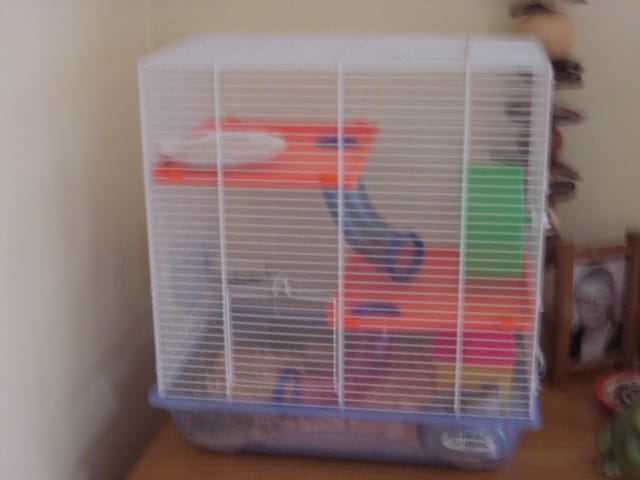 Freddy à débarqué! ^^