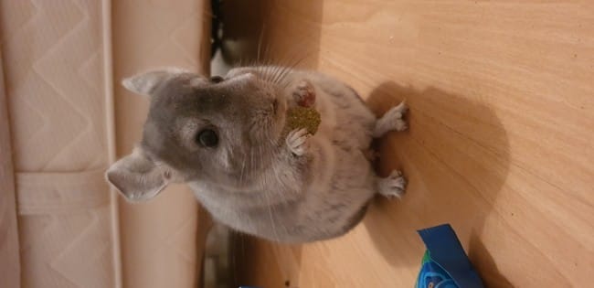 Adolescence et excitation