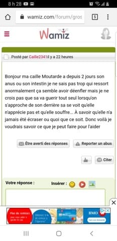 GROS problème caille (besoin d'aide d'expert si possible...)
