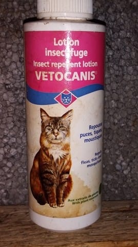 Mes chatons ont des puces d'un mois !