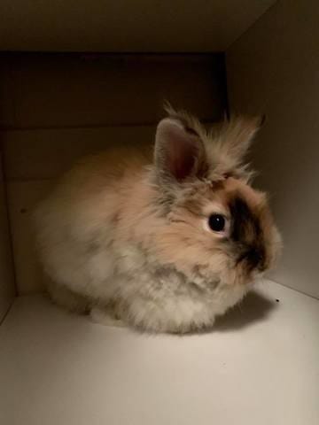 Modification comportement propreté