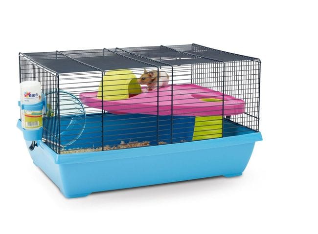 cage hamster syrien