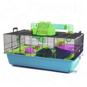 Suis je prete pour avoir mon hamster ?