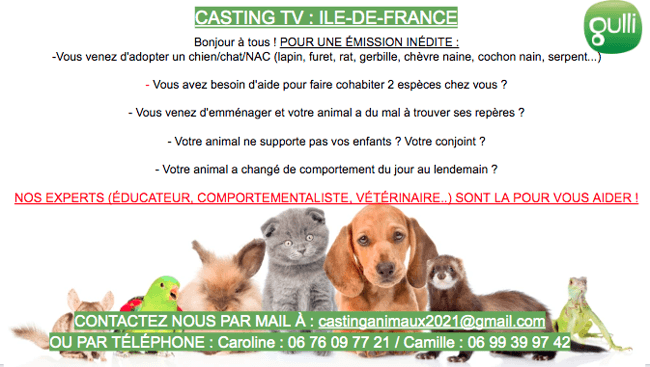 Casting animaux