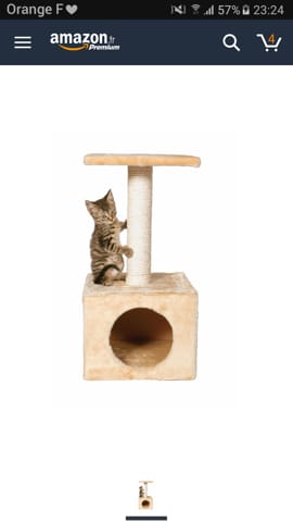 Recherche arbre à chat