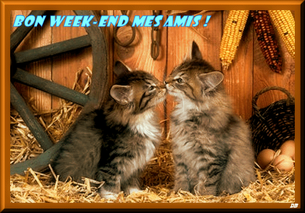 Bon weekend