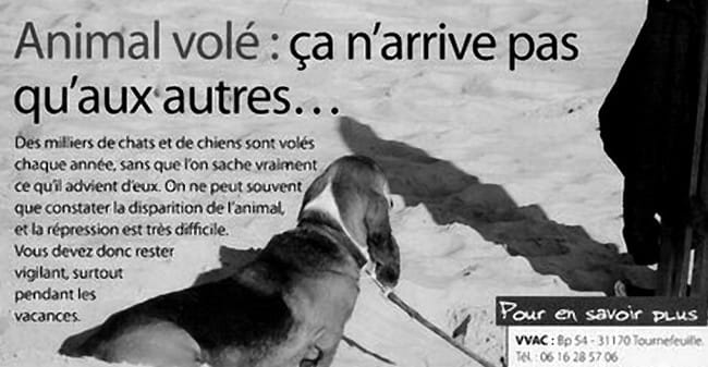 Prudence : recrudescence de vol d'animaux