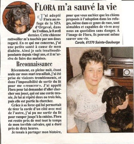 sauvée par son chien