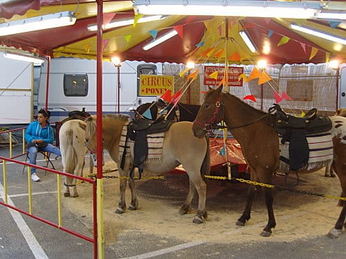 Manège de poneys !